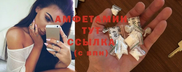 мдпв Дмитров
