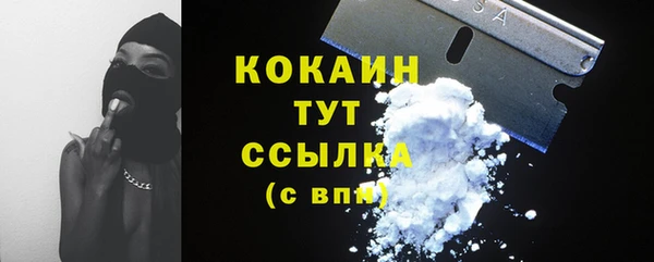мдпв Дмитров