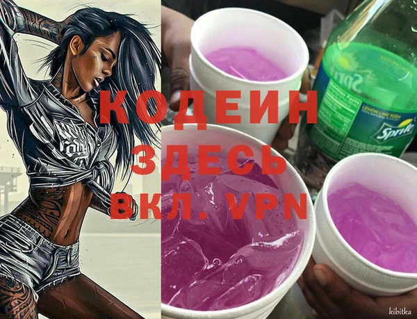 мдпв Дмитров