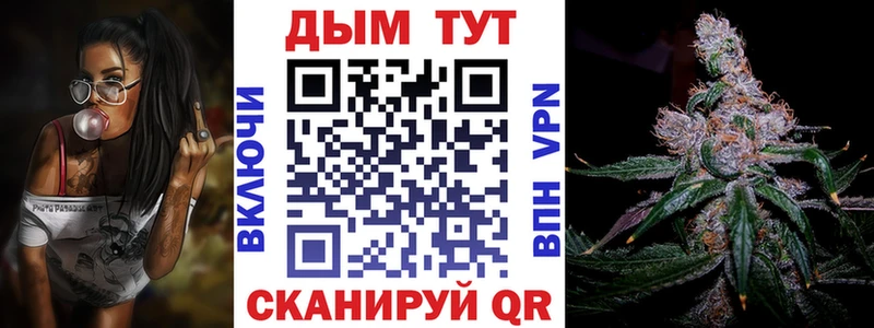 Бошки Шишки конопля  Купить закладки  Злынка 